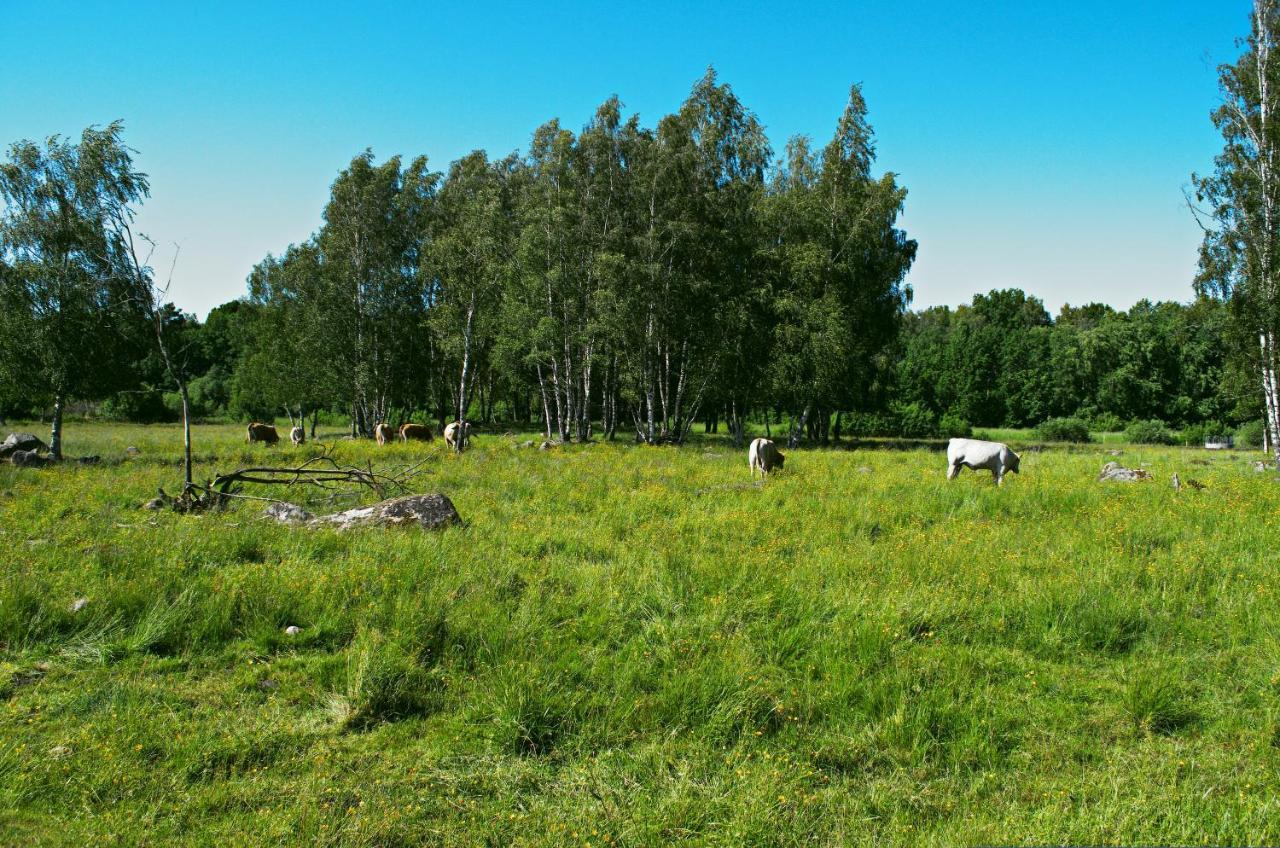 Gaeststugan Skara Esterno foto