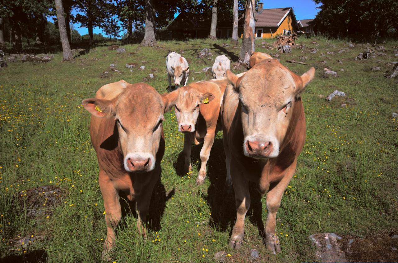 Gaeststugan Skara Esterno foto