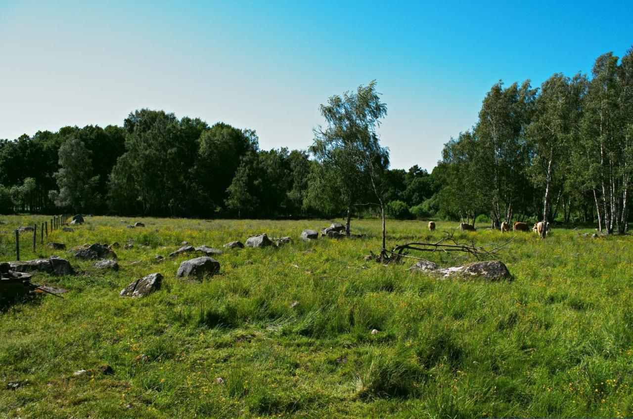Gaeststugan Skara Esterno foto