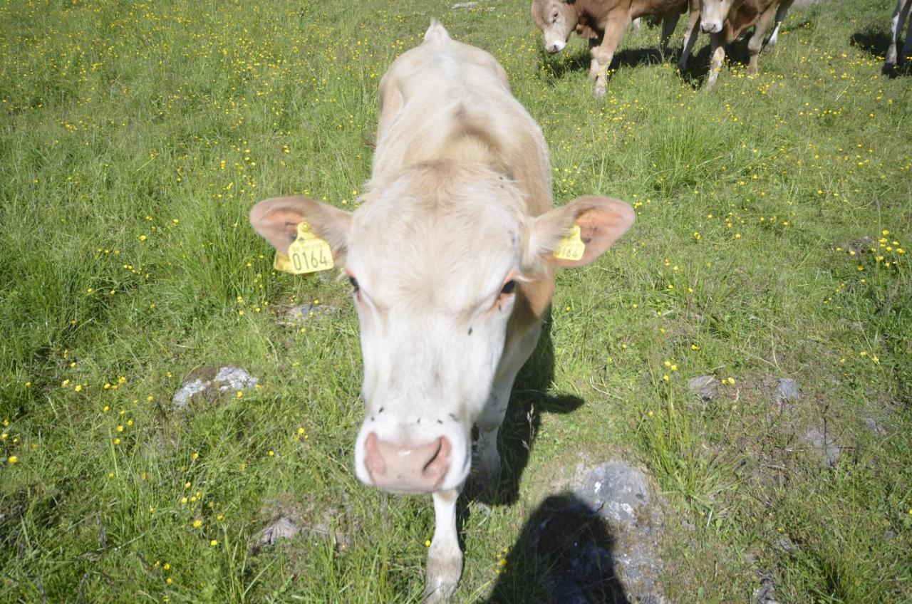 Gaeststugan Skara Esterno foto