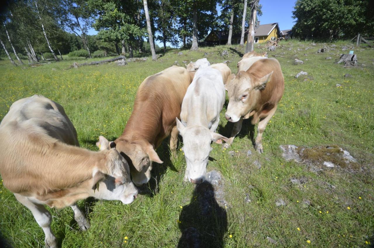 Gaeststugan Skara Esterno foto